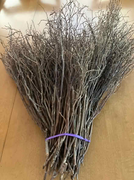 Photo of free Decorative dried foliage (Southwest Ann Arbor) #1