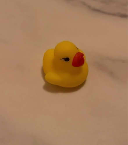 Photo of free Small rubber duck (Jennetts park RG12) #1