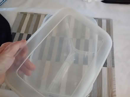 Photo of free Food container (PO14 Fareham) #2