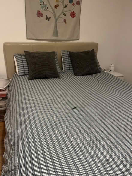 Photo of free Ottoman king size bed (Sw11) #1