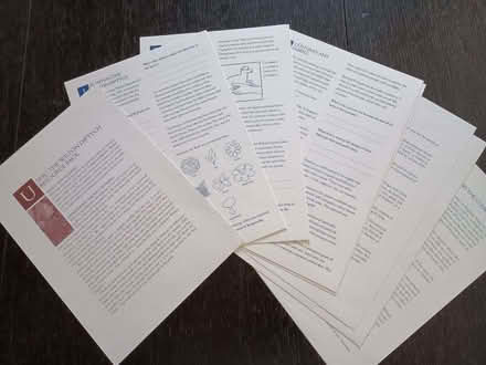 Photo of free Wilton Diptych education pack from the National Gallery (Bicester OX26) #4