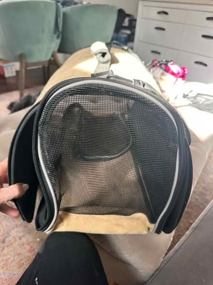 Photo of free Beautiful pet carrier (Latchmere SW11) #1