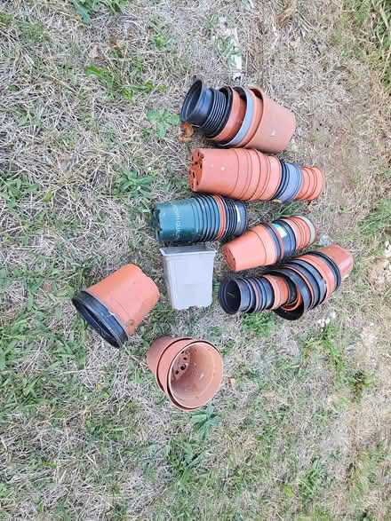 Photo of free plant pots (Highway SL6) #1