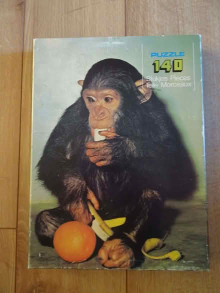 Photo of free Monkey Puzzle (Bradville MK13) #1