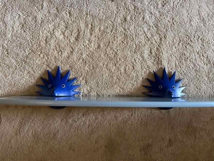 Photo of free Blue shelf with hedgehog brackets (Biddulph Moor ST8) #2
