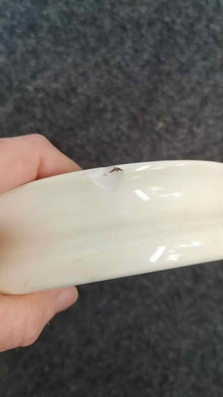 Photo of free Bunnykins bowls (Trinity Bellwoods) #2