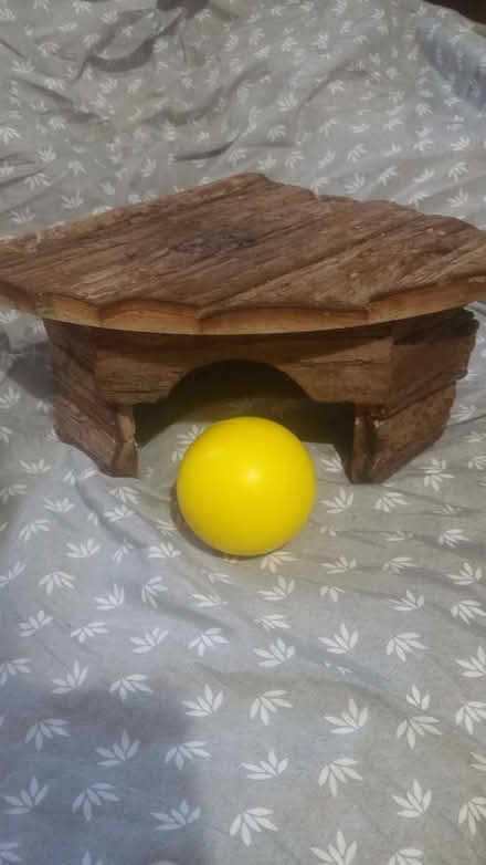 Photo of free Reptile/Tortoise house (Southey Green S5) #3