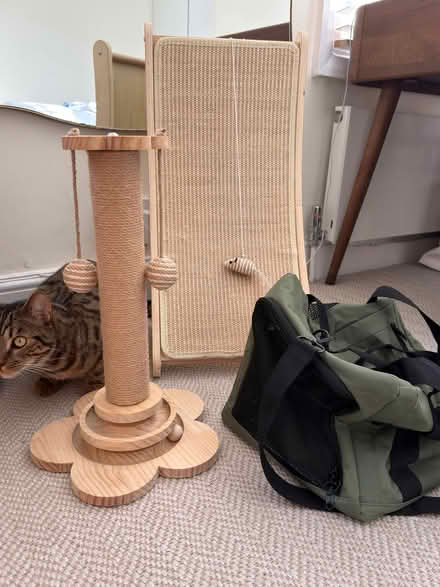 Photo of free Cat accessories (Canonbury N1) #2