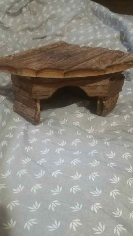 Photo of free Reptile/Tortoise house (Southey Green S5) #1