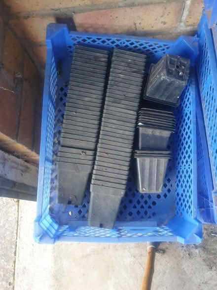 Photo of free plant pots (Sandon CM2) #2