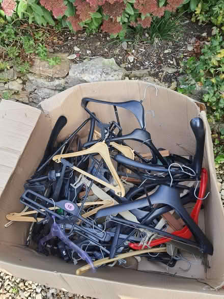 Photo of free Plastic coathangers (Stroud central GL5) #1