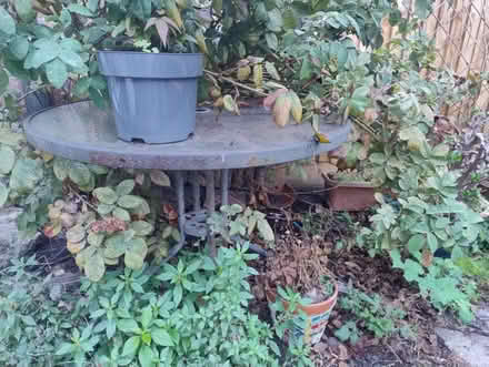 Photo of free Glass Garden Table (Warminster BA12) #1