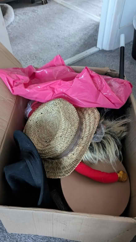 Photo of free Box of adult fancy dress items (Plaistow E13) #1
