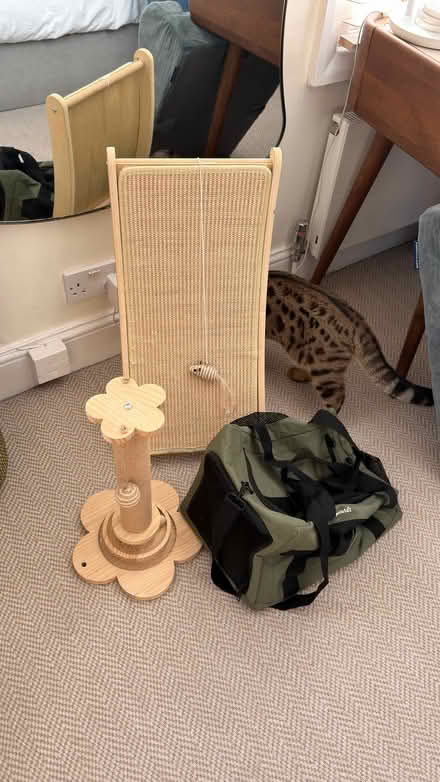Photo of free Cat accessories (Canonbury N1) #1