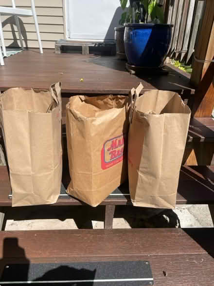Photo of free Paper shopping bags (West Medford) #1