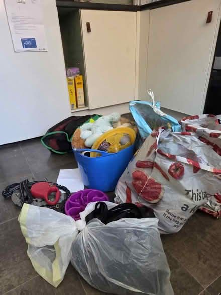 Photo of free Dog toys, long lead, leads and bowl (RG2 Shinfield) #1