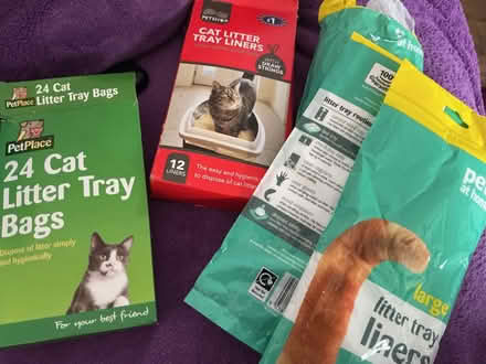 Photo of free Cat litter tray bags cat litter bags (Shephall SG2) #1