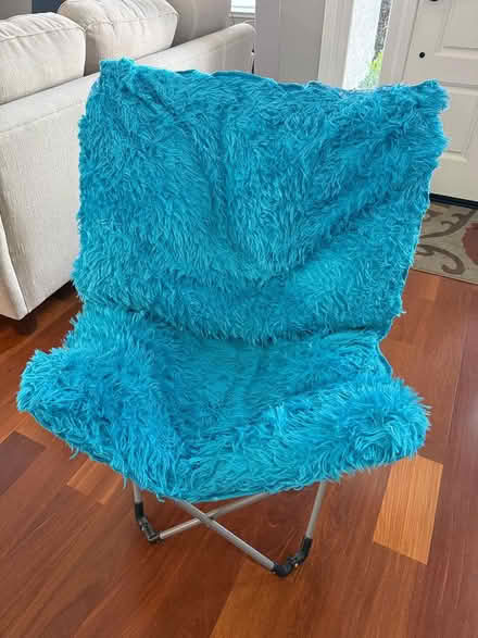Photo of free Shaggy Butterfly Chair (San jose) #1