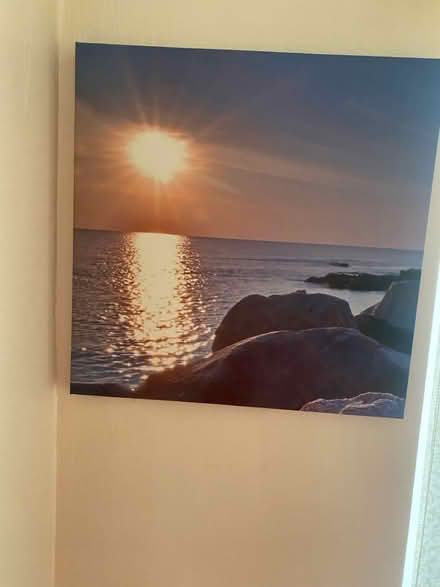 Photo of free Canvases (Offerton SK1) #2