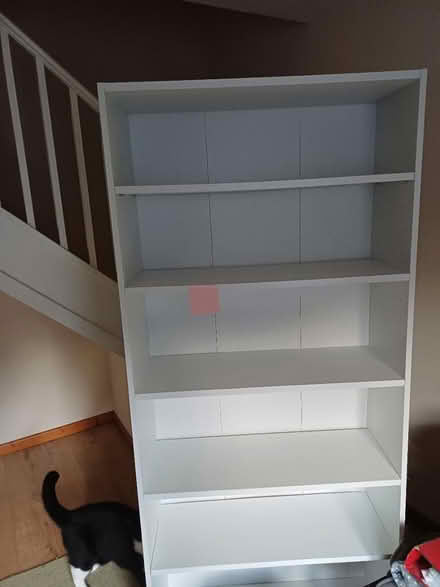 Photo of free Tall bookcase (Worcester) #1