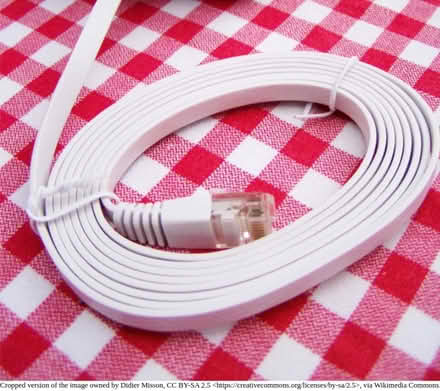 Photo of 'Flat' Ethernet cable (ideally 10 metres). (Bickington EX31) #1
