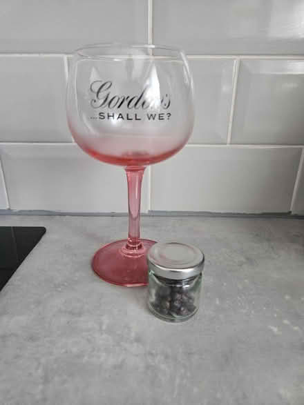 Photo of free Gin glass & dried juniper berries (Handsworth) #1