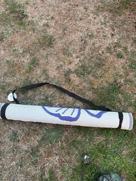 Photo of free Beach mat (Sandridge AL4) #2