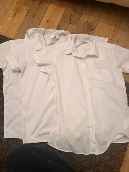 Photo of free School Blouses - Next - 14 & 15 Yrs (Hemel, HP3) #1