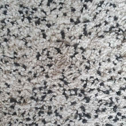 Photo of free Large thick IKEA rug. (Sale Moor M33) #2