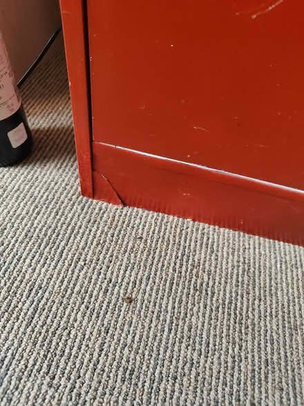 Photo of free Good sized cupboard (Dinsdale) #4