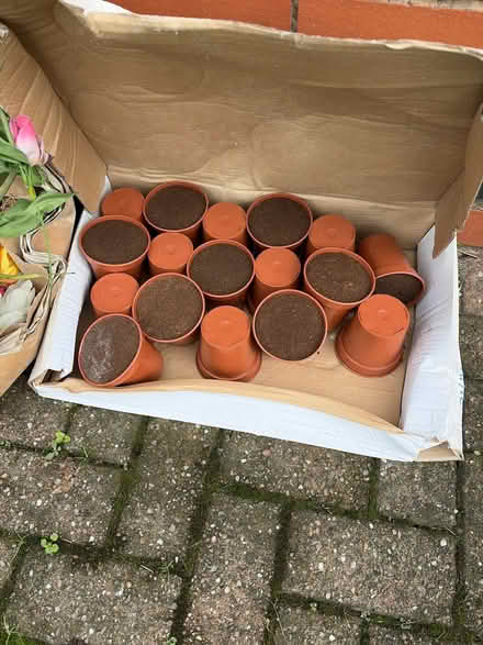 Photo of free Artificial flowers/ pots (Llanbadarn fawr LD1) #1