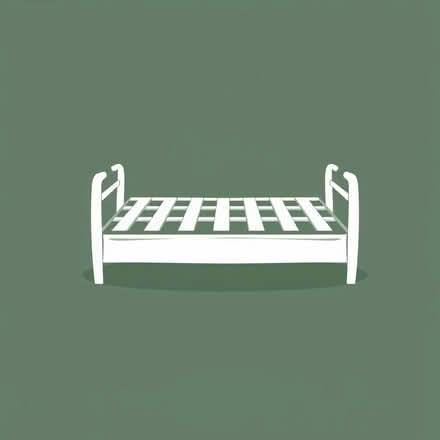 Photo of bed slats (Bewdley DY12) #1