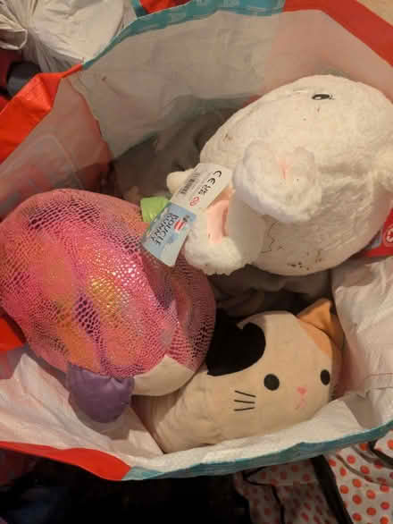Photo of free Soft toys (Wigan WN5) #1