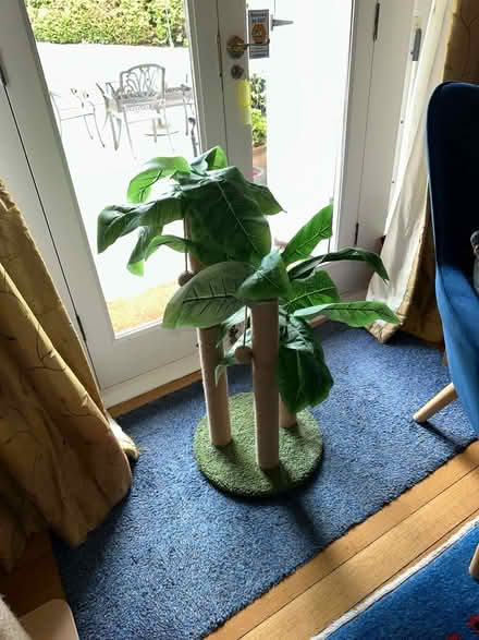 Photo of free Cat scratching post (Surbiton KT6) #1