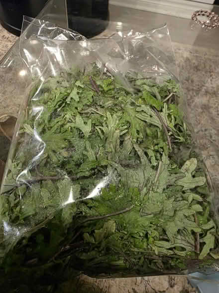 Photo of free food items (Churchil Meadows & Thomas st) #1