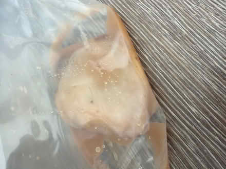 Photo of free Kombucha scoby (Nunnery Wood WR5) #3