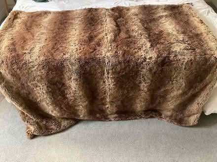 Photo of free Faux Fur Throw (Lewes BN7) #1