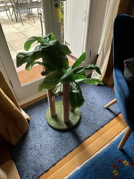 Photo of free Cat scratching post (Surbiton KT6) #2