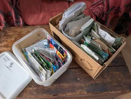Photo of free Bunch of Flower, Veg & Salad Seeds in Packets (Mold CH7) #1