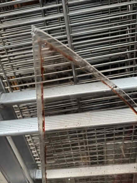 Photo of free Glass (WA4, Appleton) #1