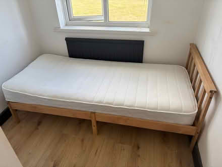 Photo of free Single bed and mattress (Sn3 3pd) #2