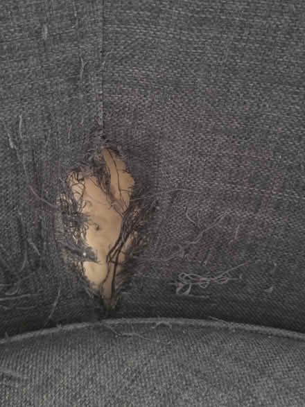 Photo of free Cuddle chair (Dereham Norfolk) #3
