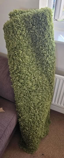 Photo of free Green rug, very large. (Ebley GL10) #3