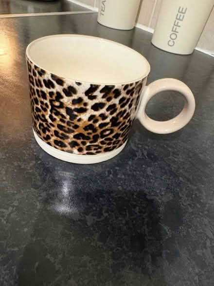 Photo of free Cup (Axminster) #1