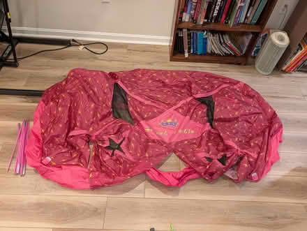 Photo of free Bed tent (Petworth neighborhood WDC NW) #1