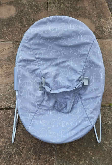 Photo of free Baby Bouncer (Clevedon BS21) #1