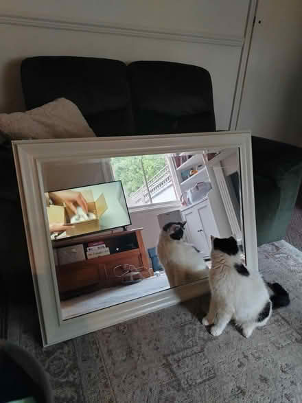 Photo of free Large wooden mirror (Walsall WS2) #1