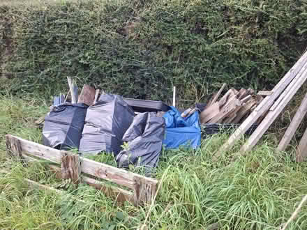 Photo of free Wood (Appleby-in-Westmorland CA16) #2