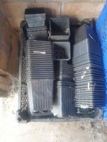Photo of free plant pots (Sandon CM2) #1
