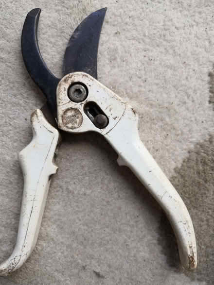Photo of free Secateurs (Grandpont OX1) #1